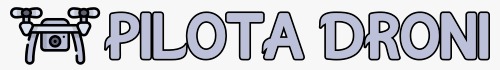 Pilota Droni
